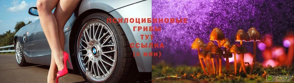 бошки Бородино