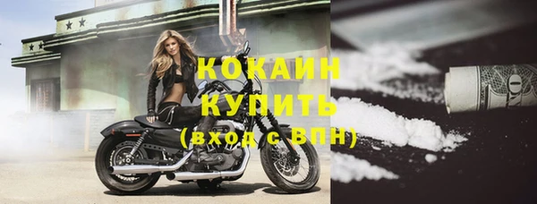 бошки Бородино