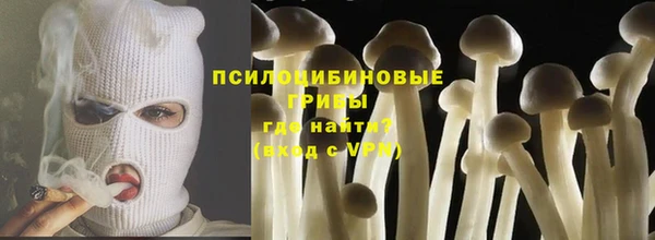 ПСИЛОЦИБИНОВЫЕ ГРИБЫ Богородск