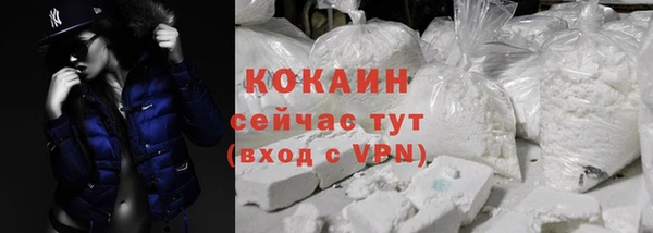 бошки Бородино