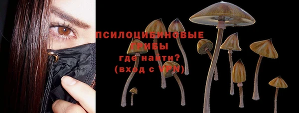 первитин Бугульма