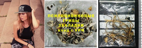 бошки Бородино