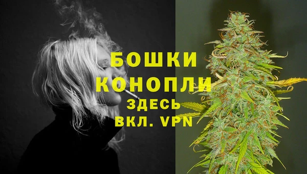 дживик Богданович