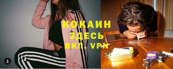 ПСИЛОЦИБИНОВЫЕ ГРИБЫ Богородск